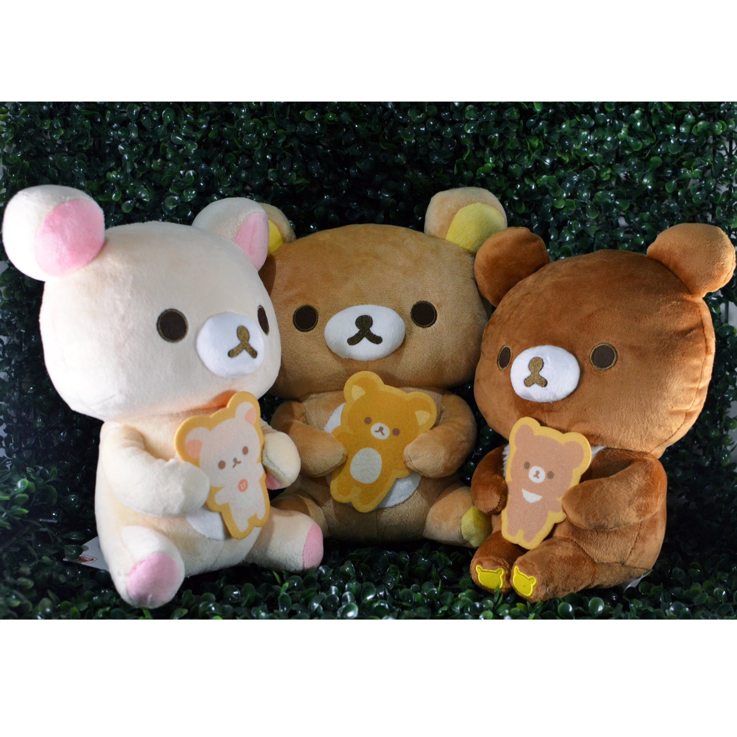 Rilakkuma Holding Cookie