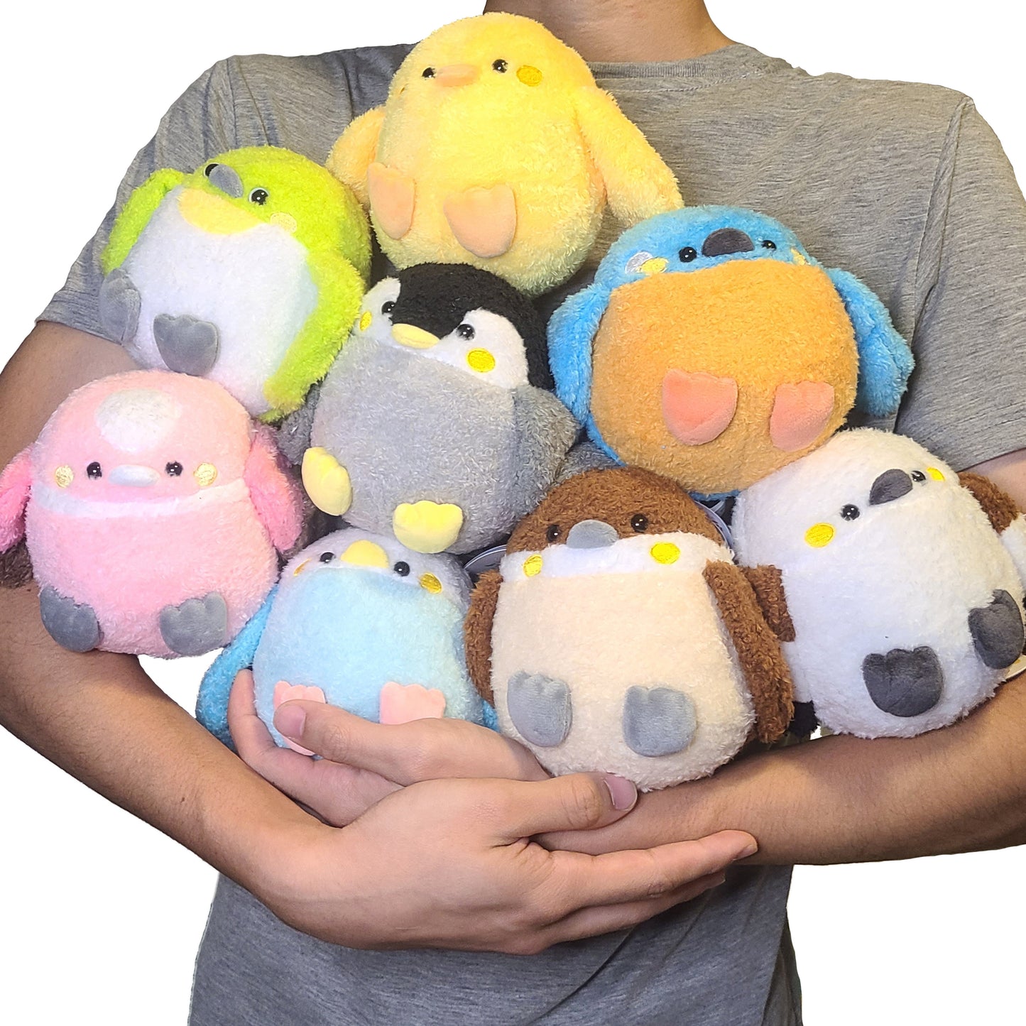 Potechun Birds