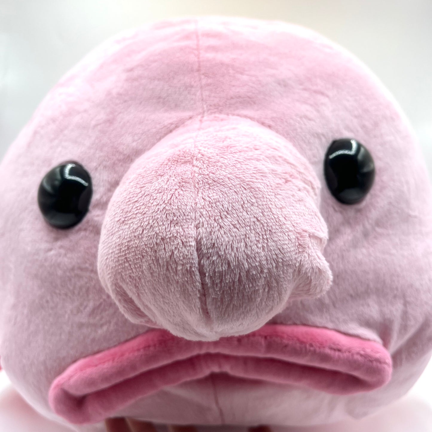 Blobfish Plush