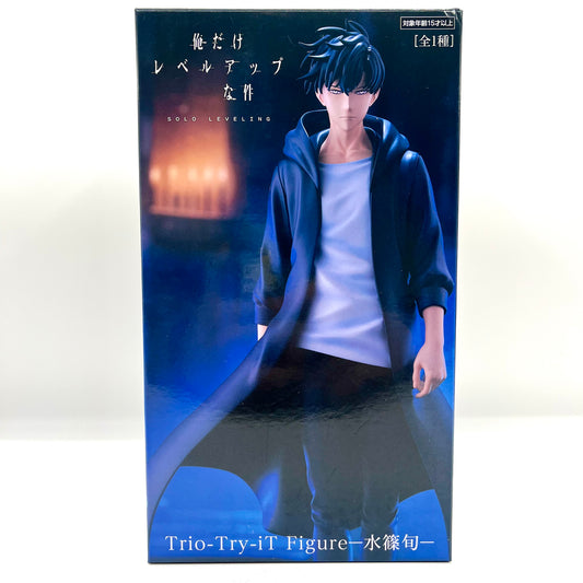 Sung Jinwoo Solo Leveling Figure