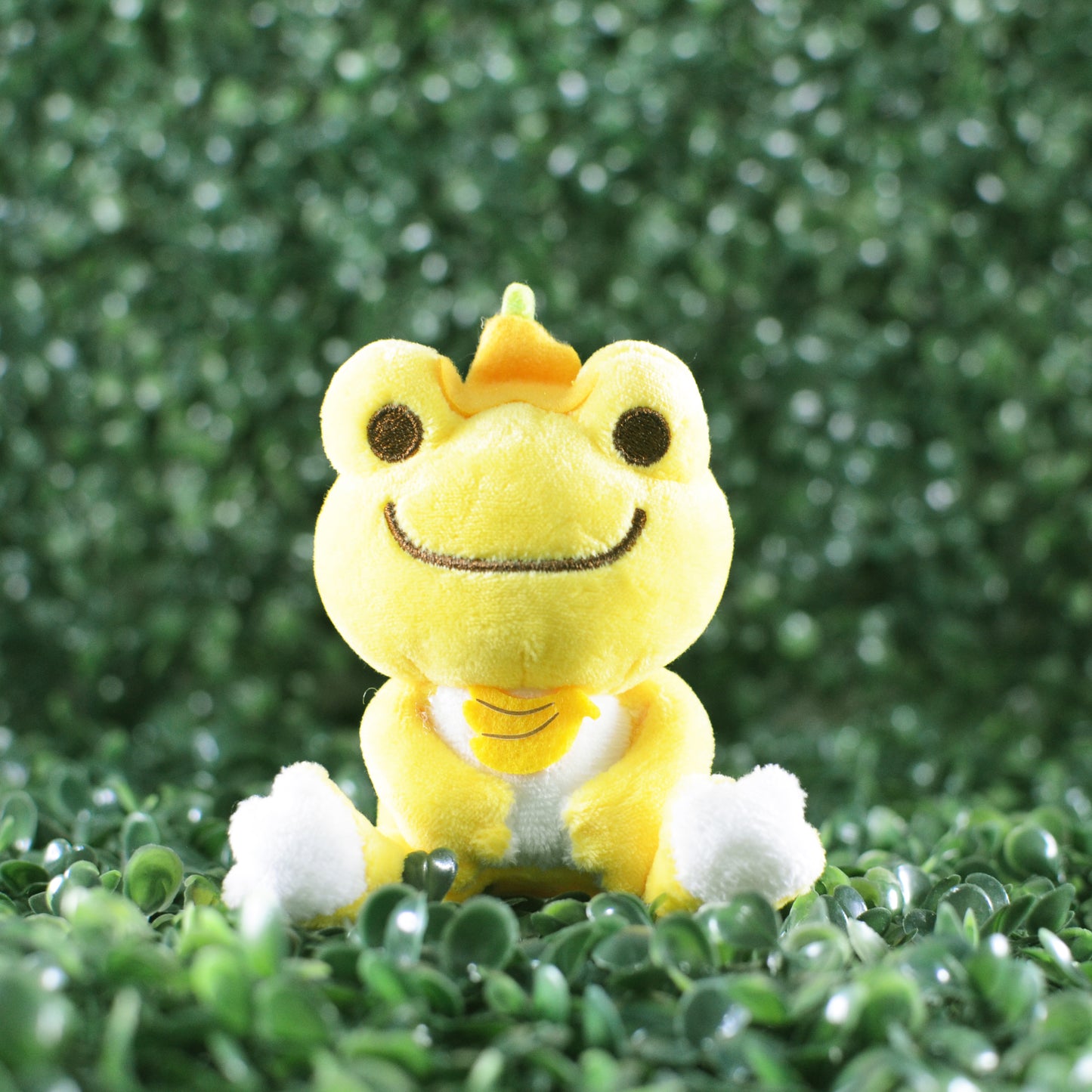 Pickles The Frog Fruit Series Mystery Box Cosmic Fluff