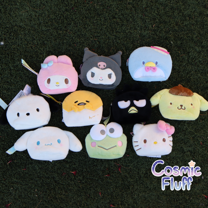 Sanrio Pouch with Window
