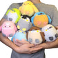 Potechun Birds